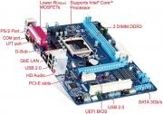 Intel H61 Socket LGA1155 MicroATX Motherboard (GA-H61M-WW)