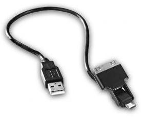 Male Apple 30 pin / MicoUSB connector To Male USB Cable (C-3X00-K1S0) - 30cm 