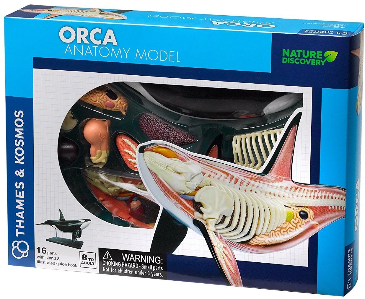 Thames and Kosmos Animal Anatomy - Orca Anatomy Model | nivo.co.za