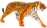 Animal Anatomy - Tiger Anatomy Model