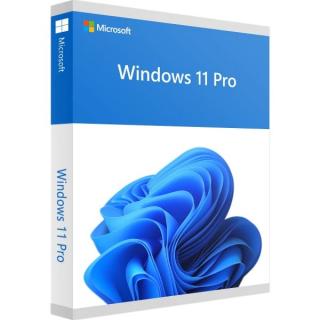 Windows 11 Professional FPP 32/64-bit Operating System 