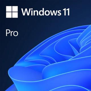 Windows 11 Professional - ESD - Windows 