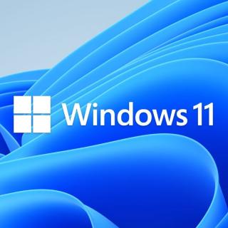 Windows 11 Home DSP 32/64 Bit Operating System 