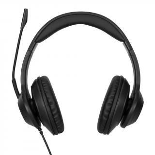 AEH102GL Wired Stereo Headset - Black 