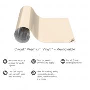 Premium Vinyl Removable 30x120cm (Cream)