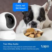 C200P Pan/Tilt Home Security Wi-Fi Camera